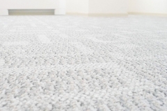 carpet_clean